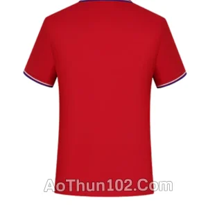 Áo thun đồng phục AT17-6120