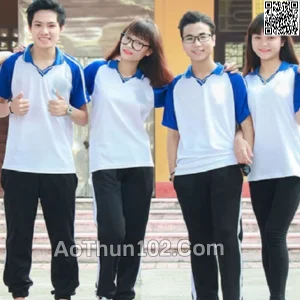 áo thun đồng phục học sinh AT17-5721