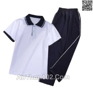 áo thun đồng phục học sinh AT17-5721