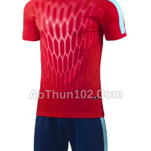 Áo thun thể thao AT17-7298