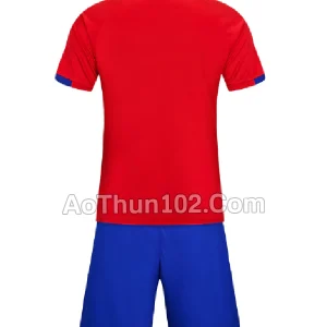 Áo thun thể thao AT17-7311