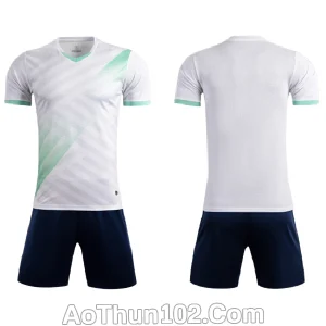 Áo thun thể thao AT17-7346