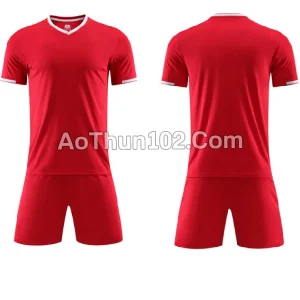 Áo thun thể thao AT17-7620