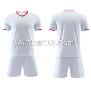 Áo thun thể thao AT17-7620