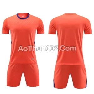 Áo thun thể thao AT17-7669