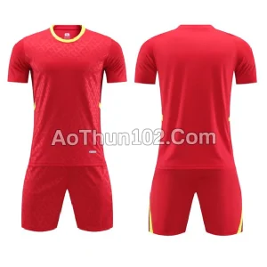 Áo thun thể thao AT17-7669