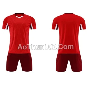 Áo thun thể thao AT17-7687