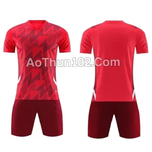 Áo thun thể thao AT17-7745