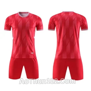 Áo thun thể thao AT17-7776